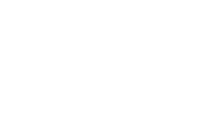 Șofer Personal București