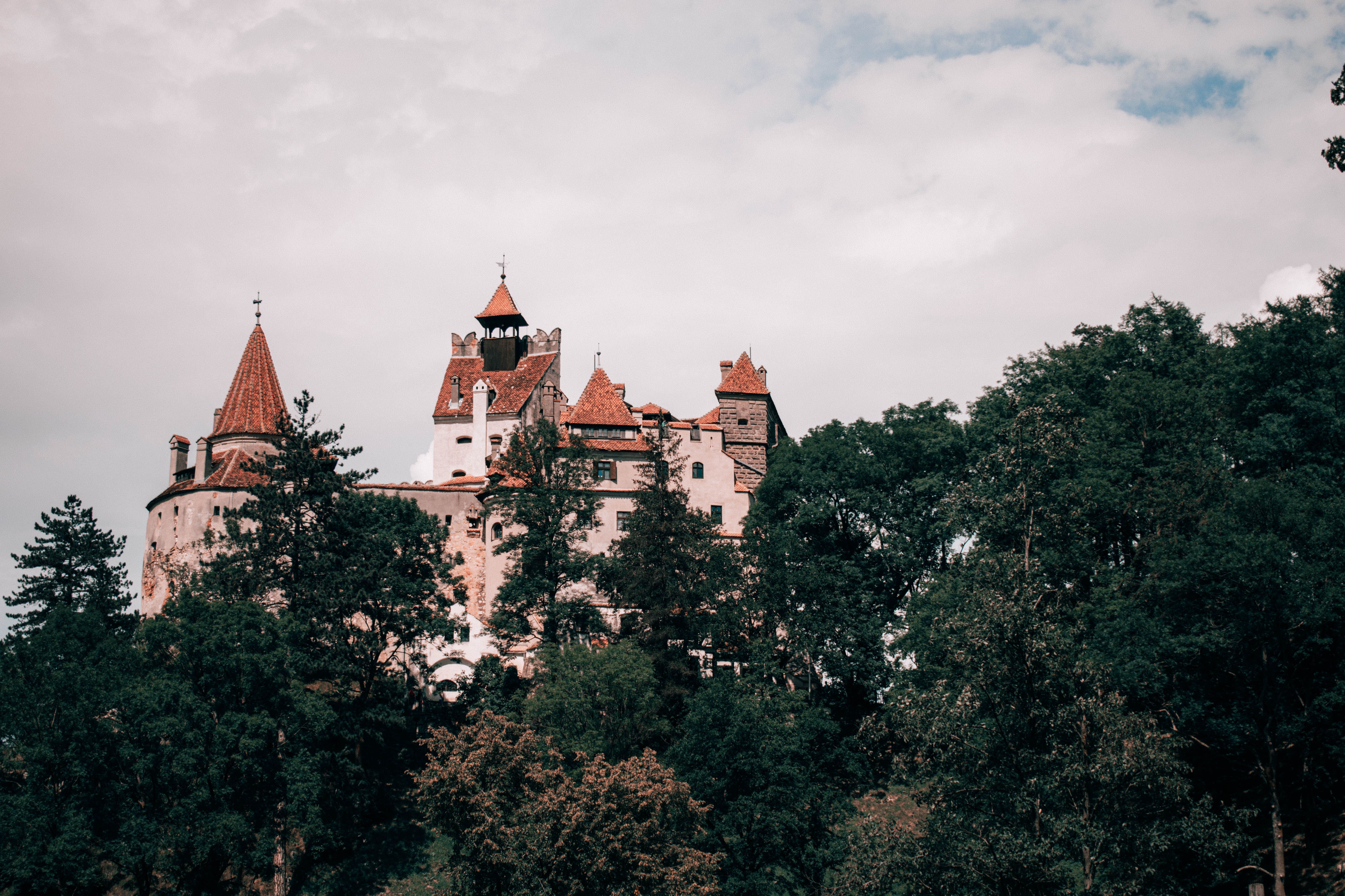 O zi la Castelul Bran: povestea unei excursii cu șofer personal din București